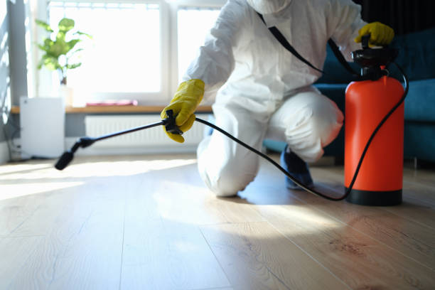 Reliable Blood Cleanup contractor in Hamilton, WA by Crime Scene Cleaner Online
